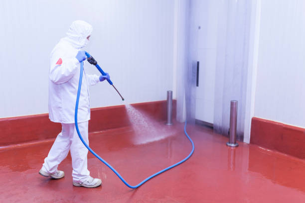 Best Boat and Dock Cleaning  in Braddock Heights, MD